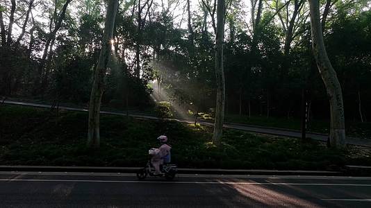 绝美南京梧桐大道日出丁达尔光线视频的预览图