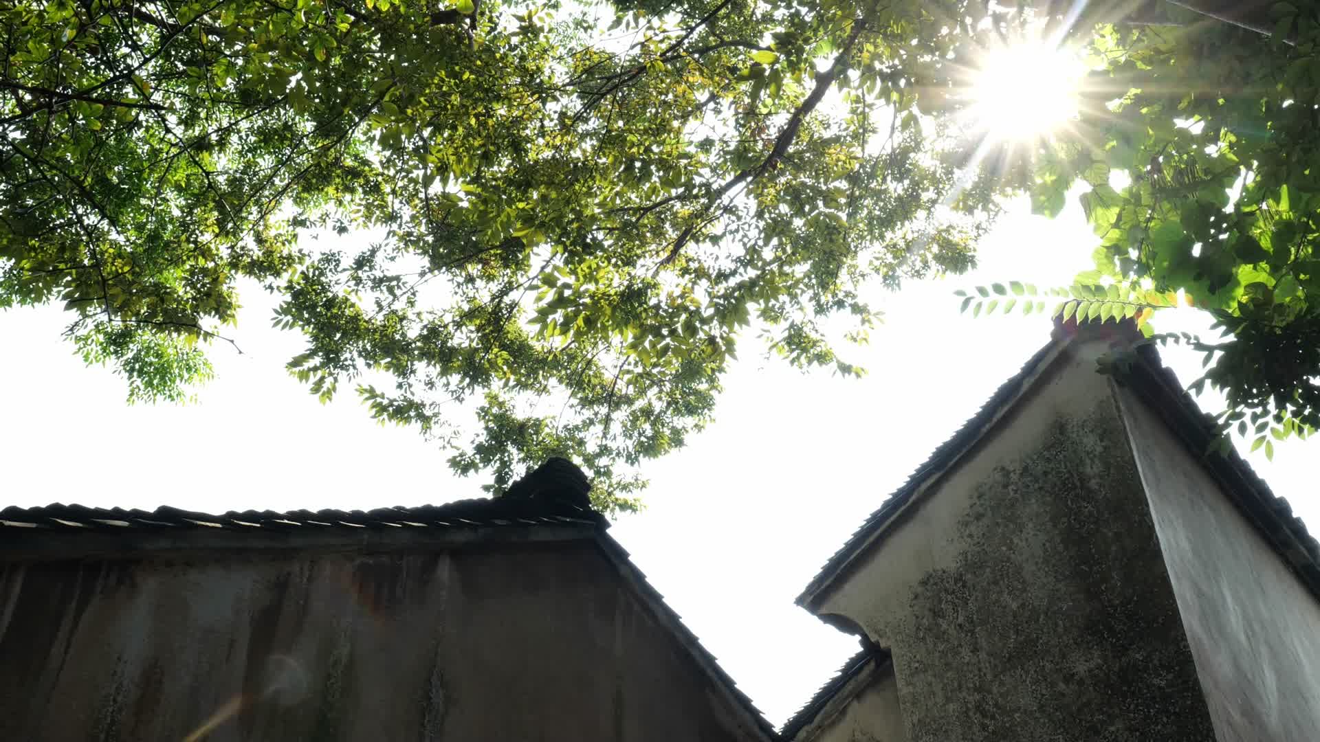 清晨阳光江南古镇徽派建筑视频的预览图