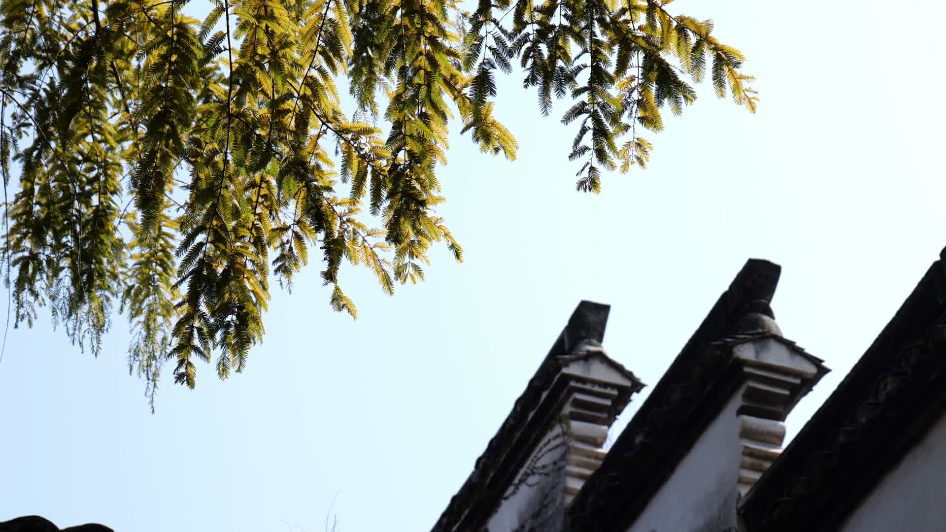 古镇建筑江南风格的建筑细节视频的预览图