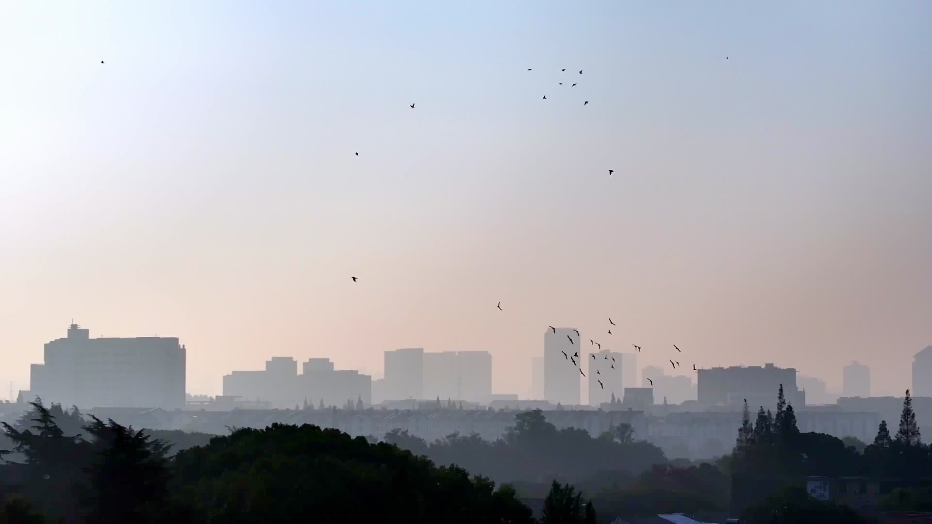 航拍清晨的苏州城市风光视频的预览图