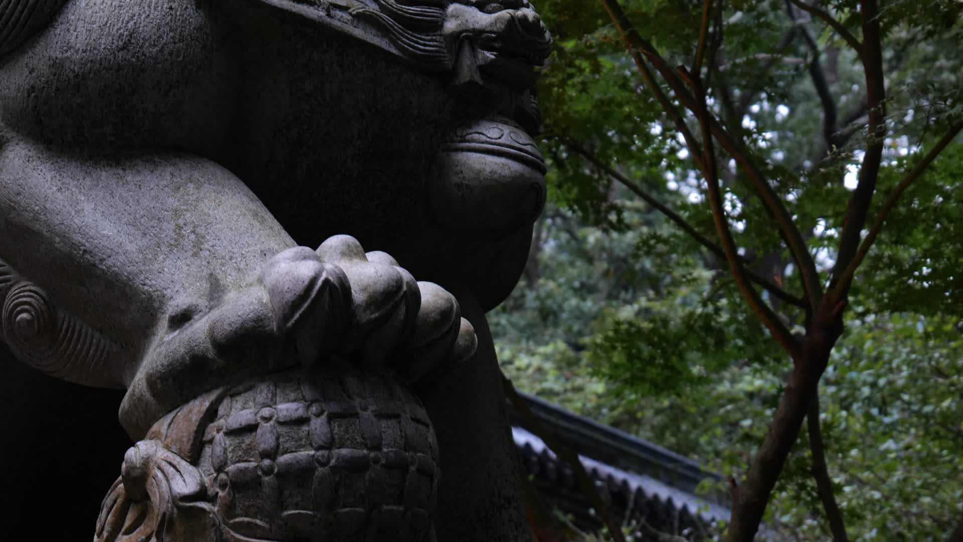杭州灵隐寺永福禅寺视频的预览图
