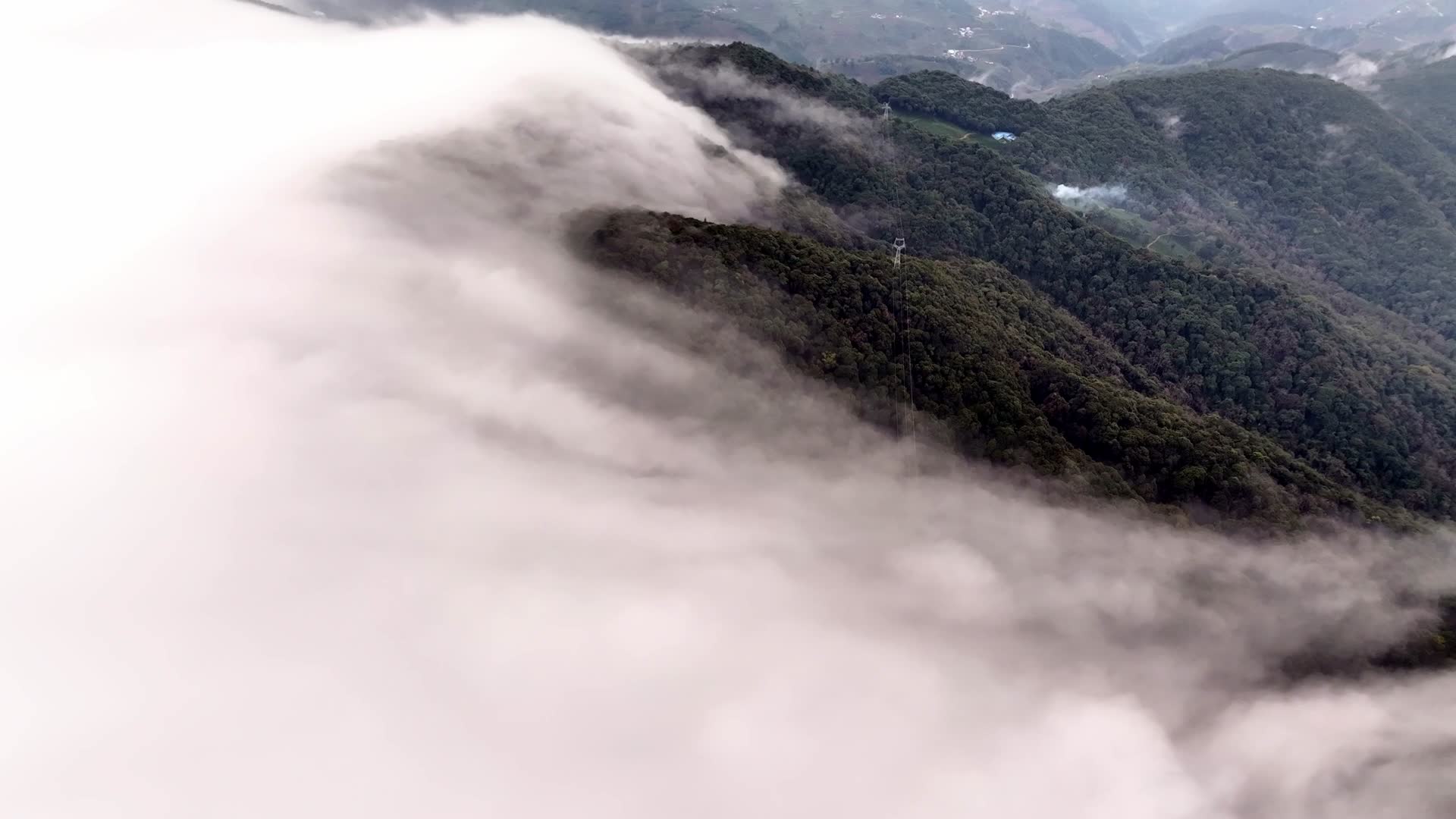 云海森林大自然天然氧吧视频的预览图