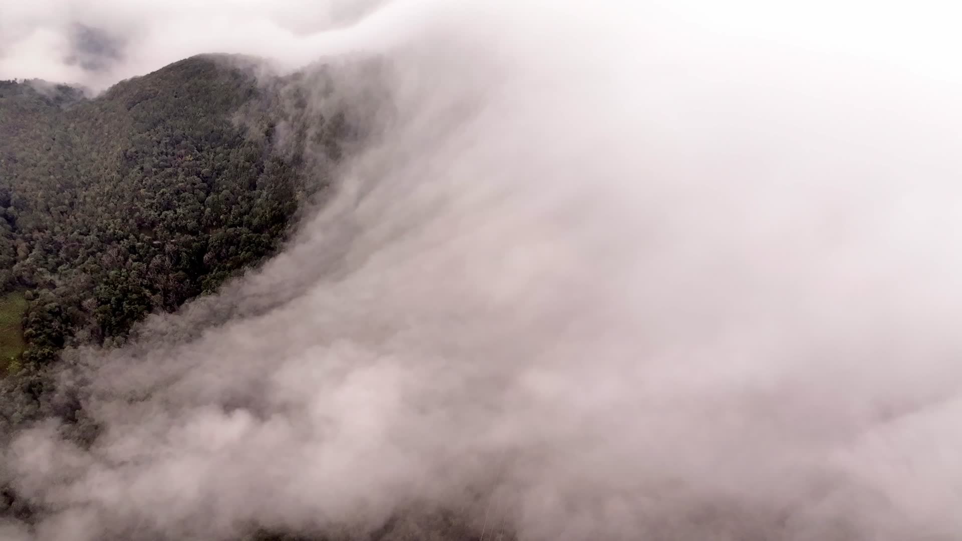 云海森林大自然天然氧吧视频的预览图
