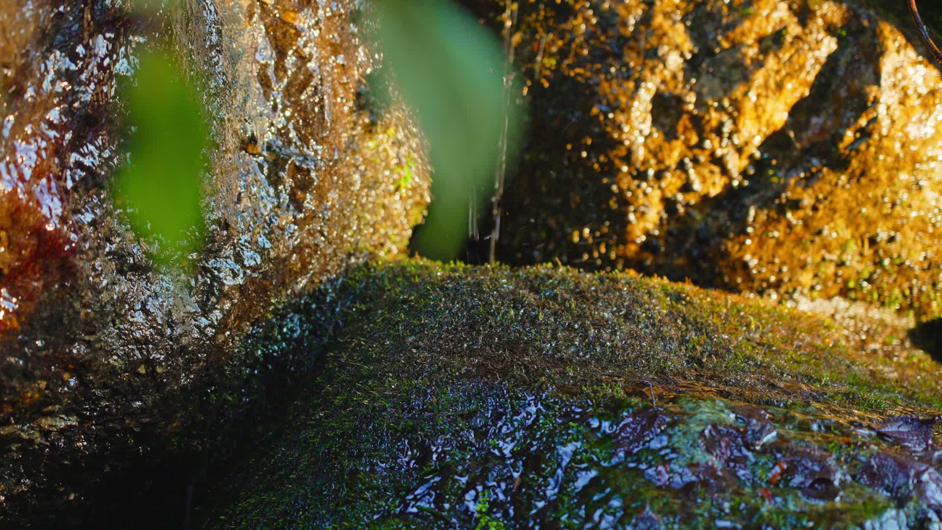 暖阳照射在长满青苔流淌着清澈水流的石缝里视频的预览图
