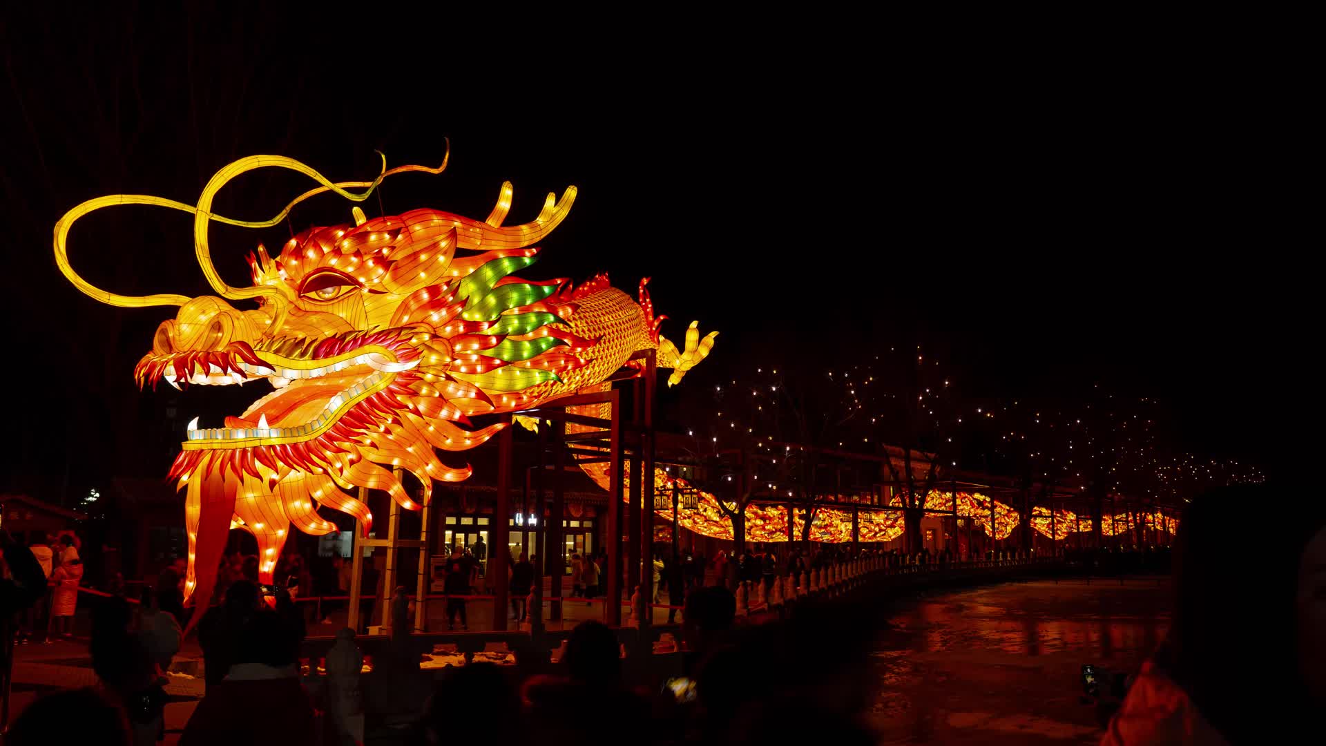 北京什刹海荷花市场元宵节灯会传统文化龙年loong视频的预览图