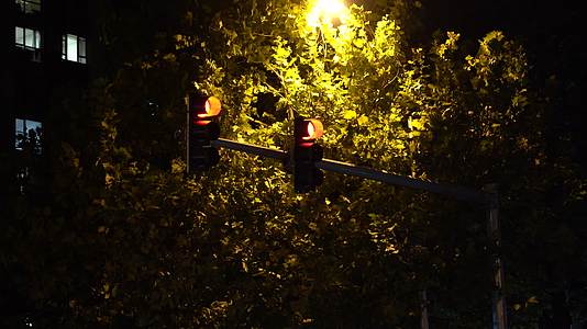 北京秋天夜晚马路上车水马龙汽车电动车红绿灯视频的预览图