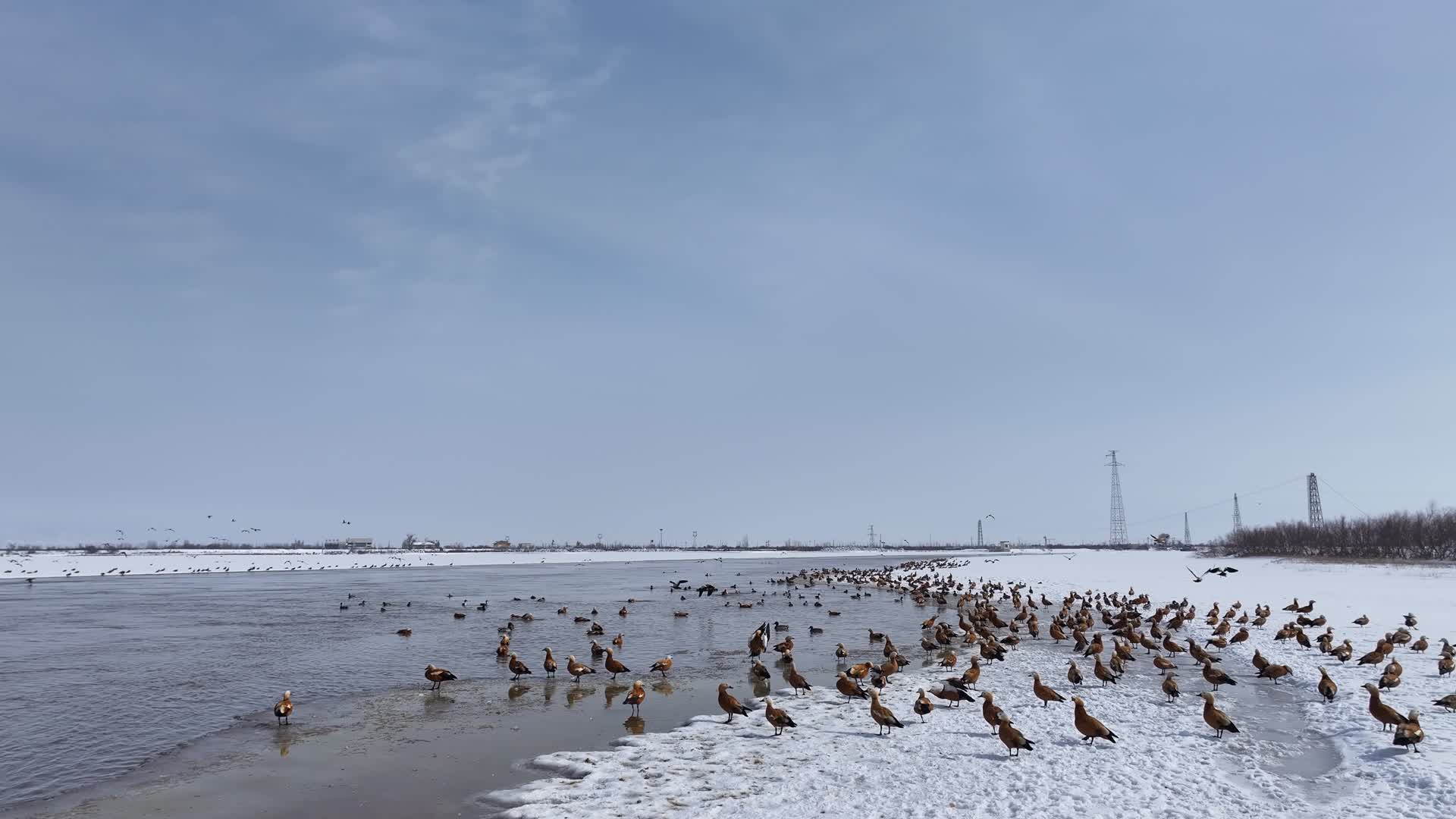 航拍下雪后的黄河视频的预览图