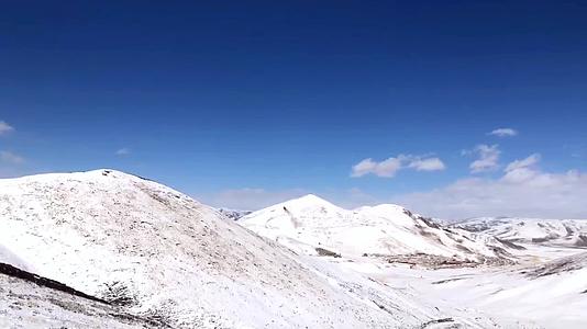 青藏高原的雪景真的很美视频的预览图