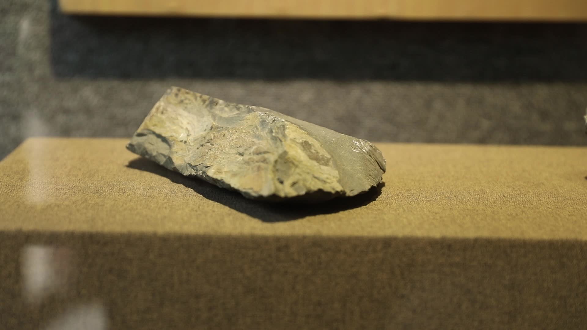 博物馆化石打制石器视频的预览图