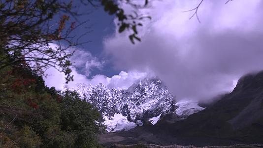 西藏远处的雪山视频的预览图