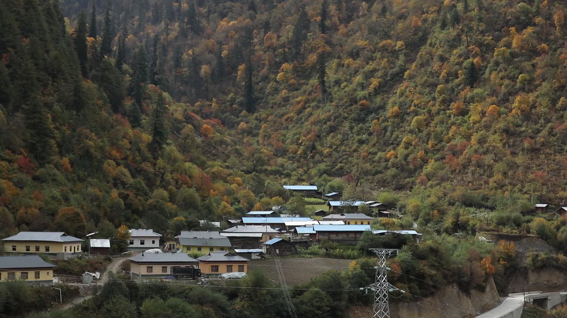 大山里的秋色视频的预览图