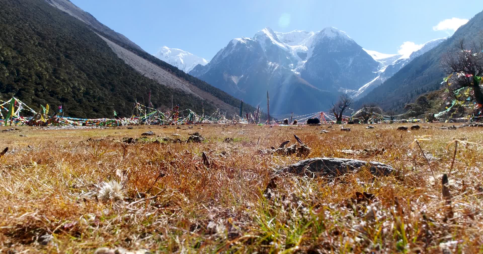 航拍西藏风景视频的预览图