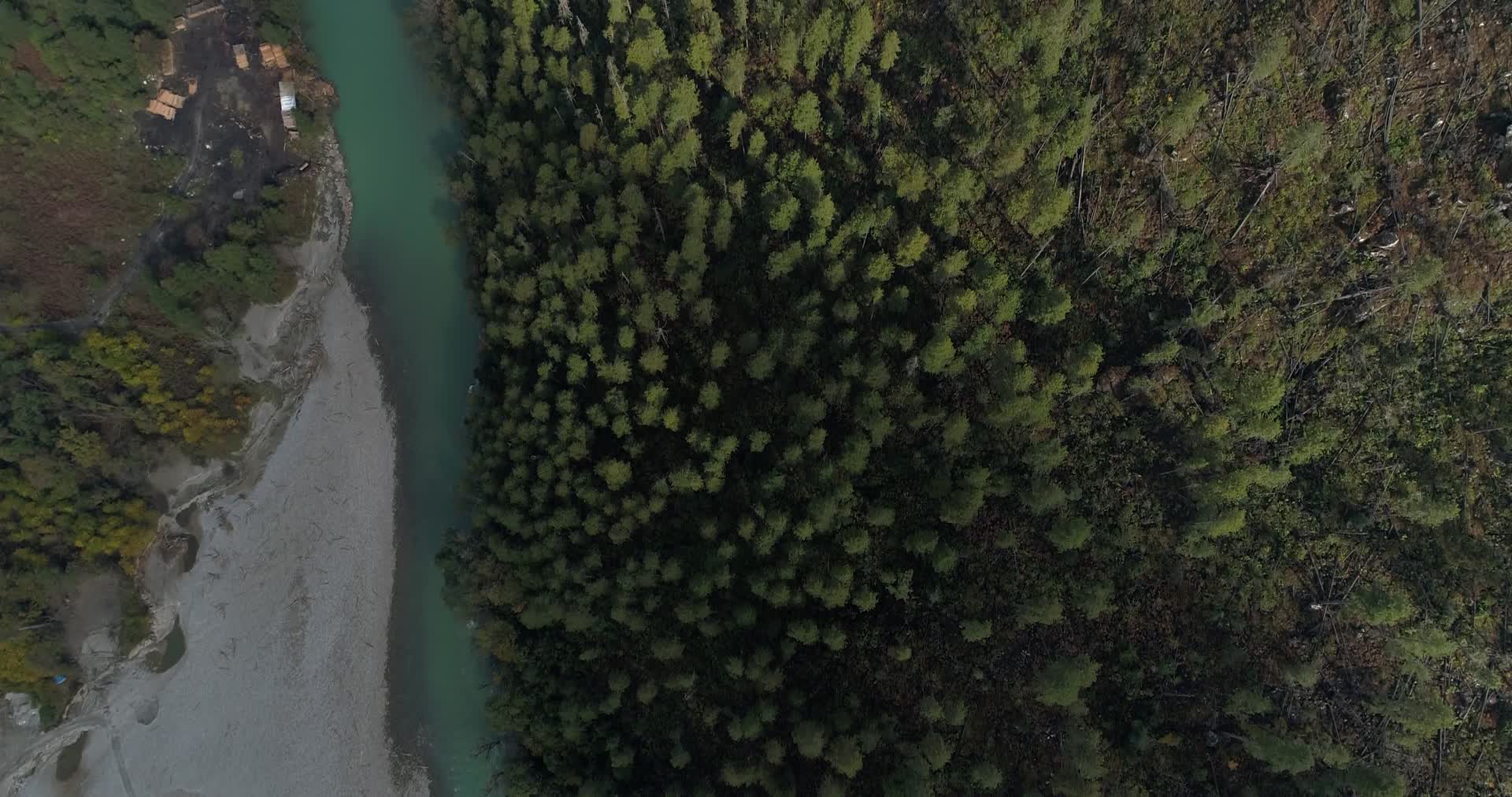 航拍森林自然视频的预览图