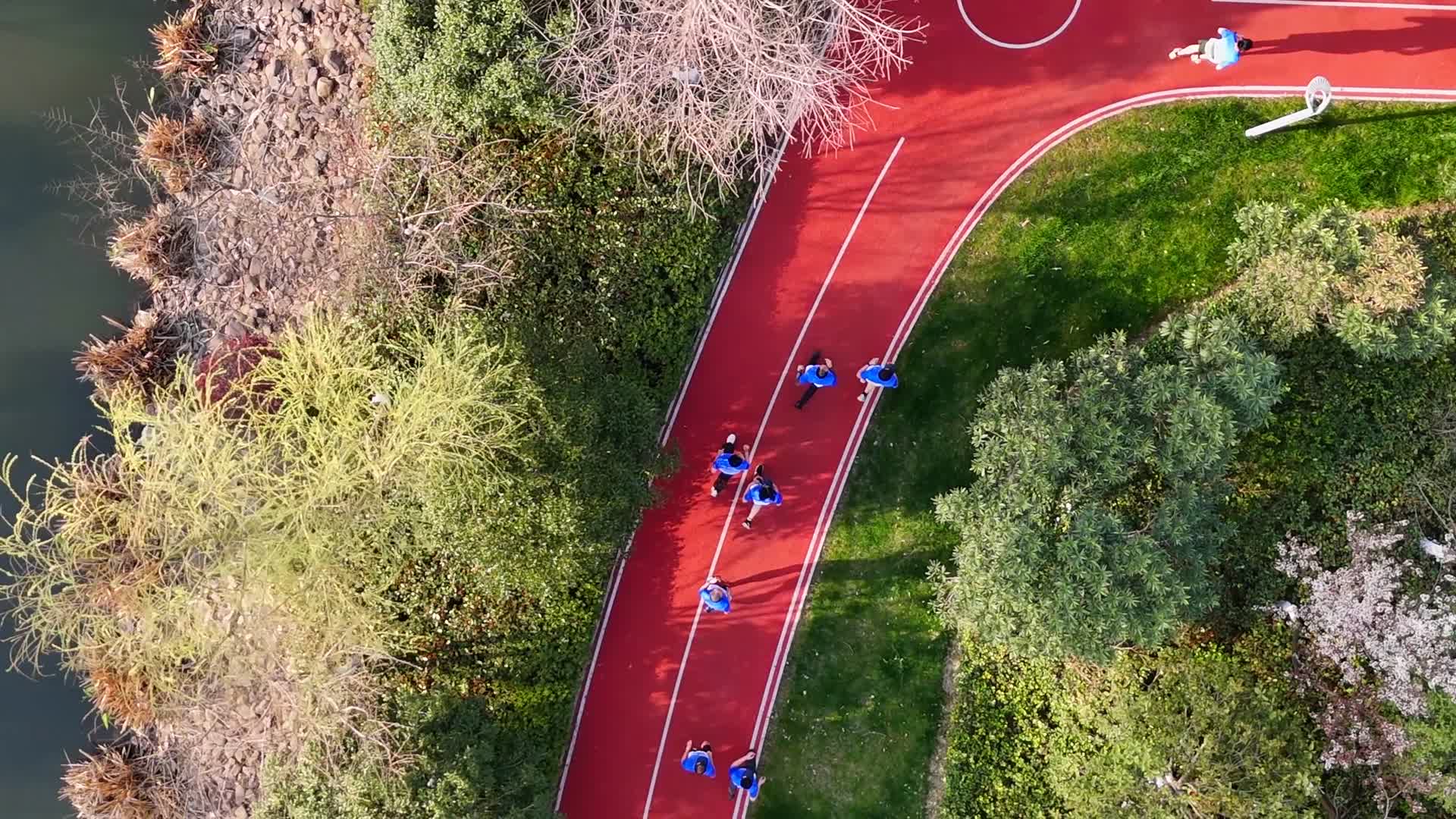 健身运动操场绿道城市跑步视频的预览图
