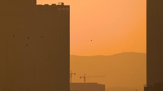4K城市高楼楼房飞翔的大雁实拍视频视频的预览图