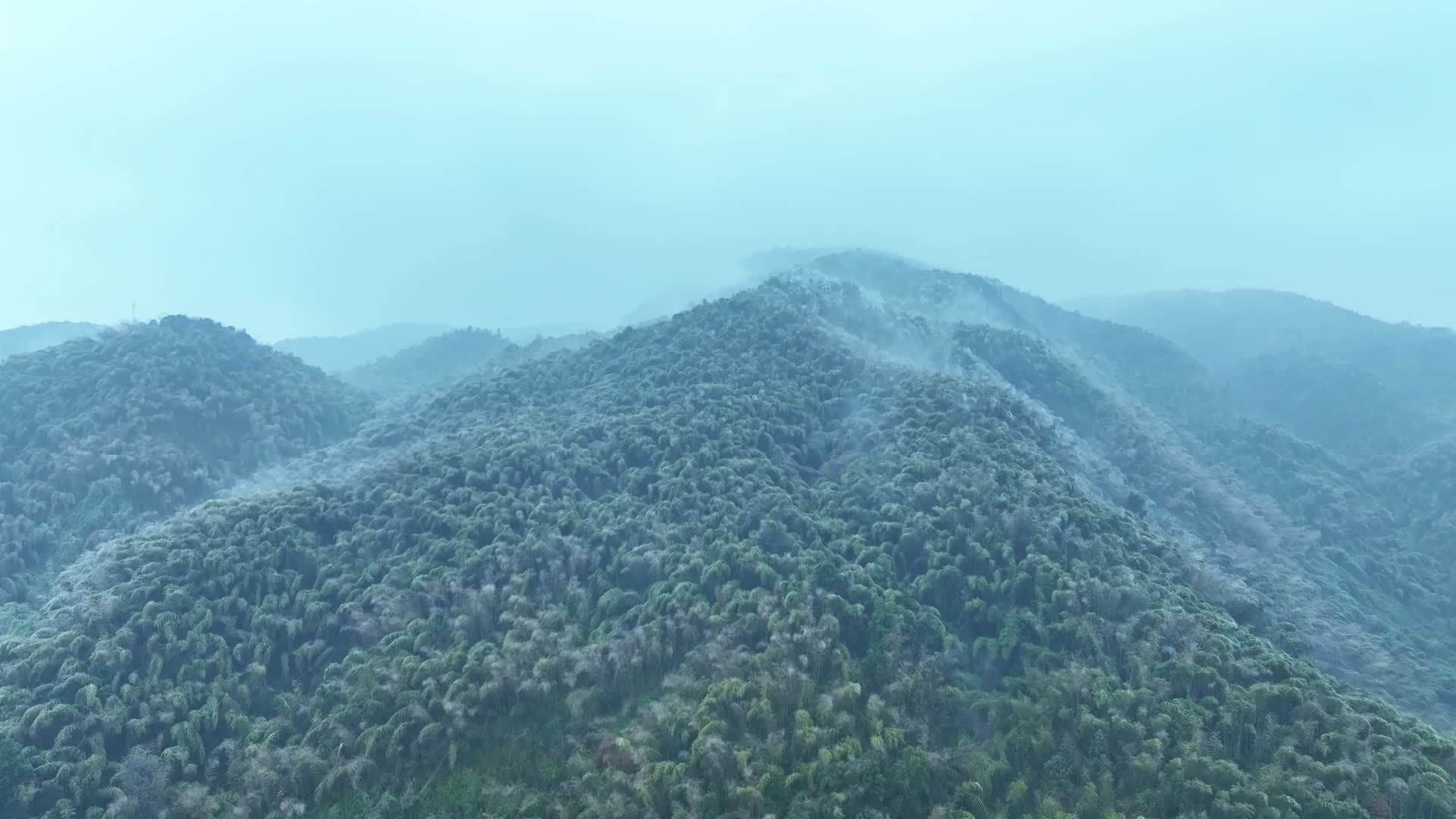 蔡伦竹海旅游风景区视频的预览图