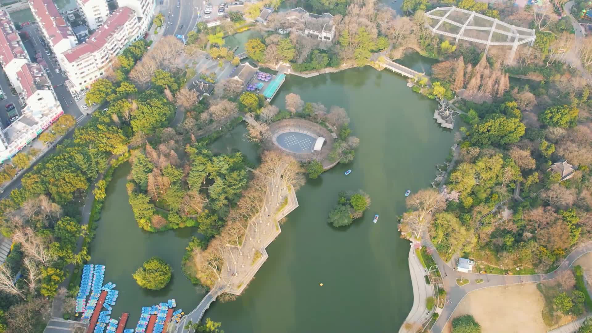 红梅公园视频的预览图