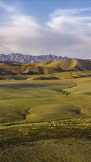 高清竖屏延时航拍新疆阿尔泰山风景和牛羊成群视频的预览图