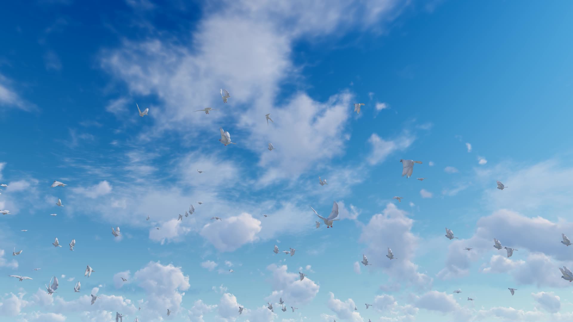 国庆蓝天白云一群和平鸽飞过华表视频的预览图