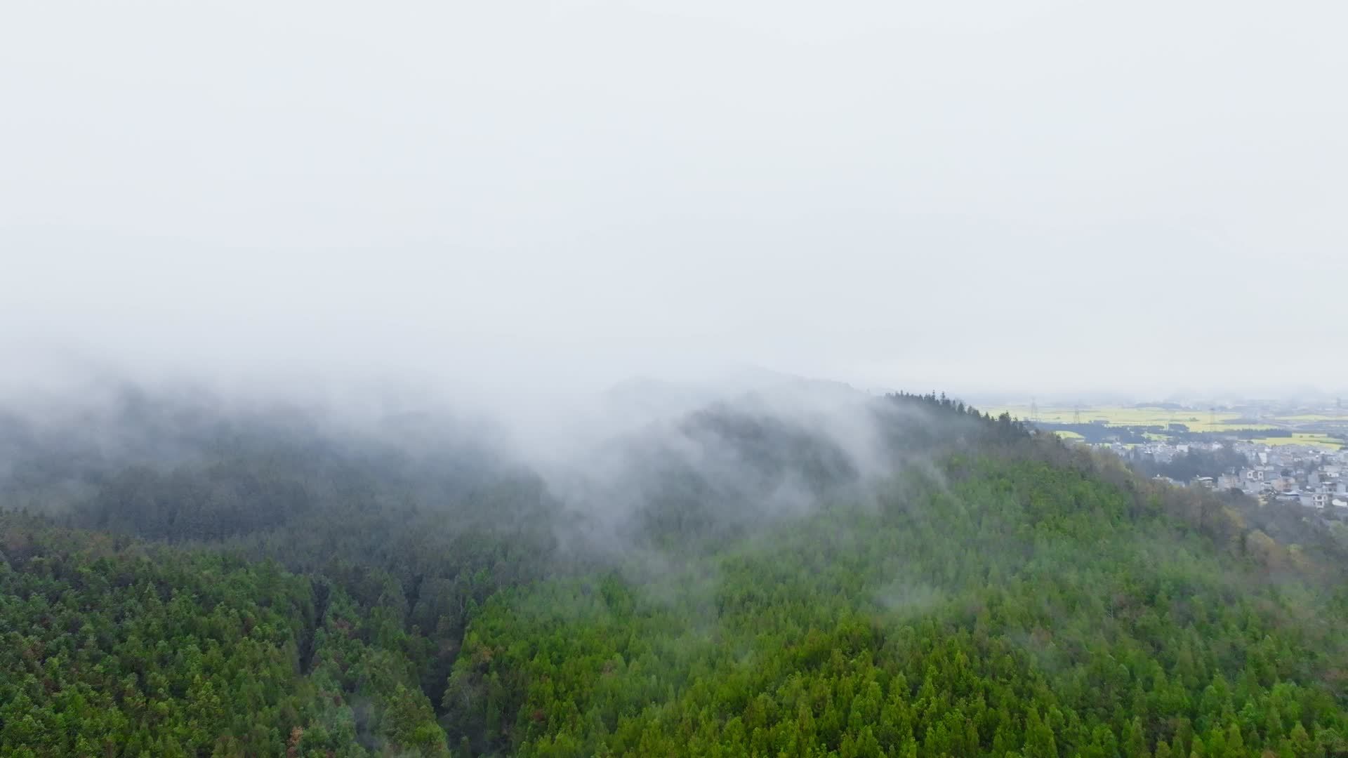阴雨天气森林里白色的浓雾随风飘动阴天航拍视频的预览图