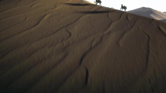 沙漠骆驼丝绸之路一带一路视频的预览图