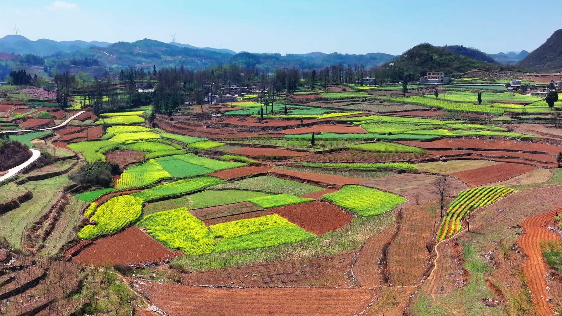 4K航拍贵州黔西南田园油菜花风景视频的预览图