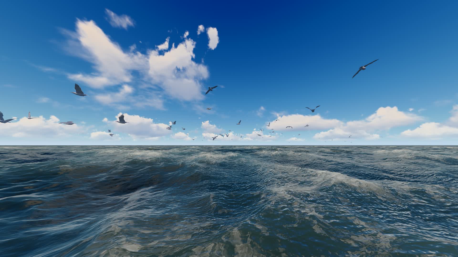 海面自由飞翔的海鸥群视频的预览图