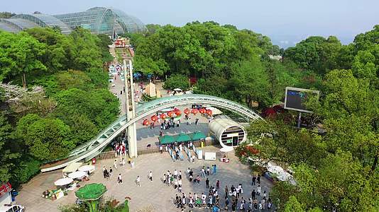 4K重庆南山植物园南山植物园视频的预览图