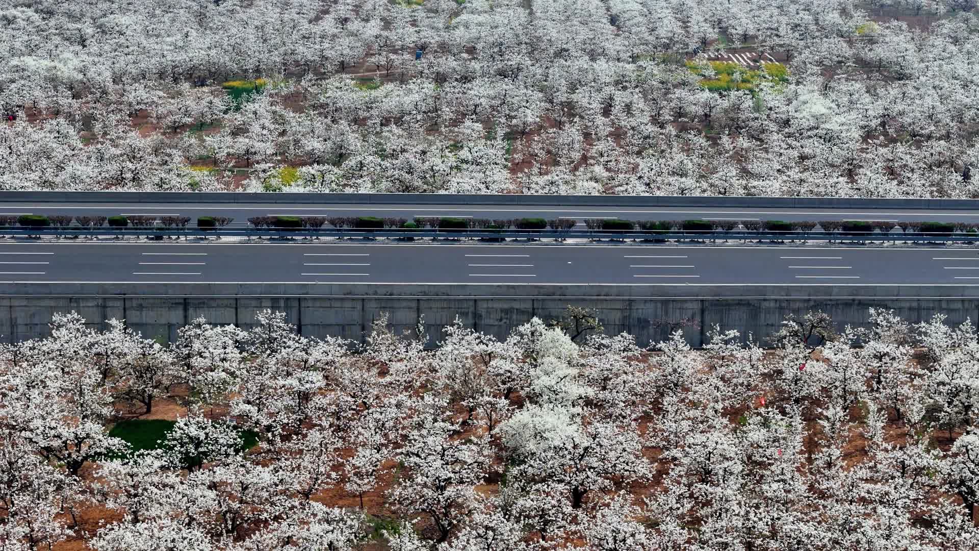 航拍春天的京台高速视频的预览图