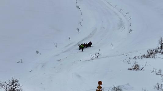 4K航拍北欧芬兰人鹿行走在雪中的风景视频的预览图