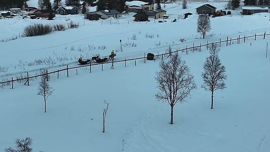 4K航拍北欧芬兰行走在雪中的鹿视频的预览图