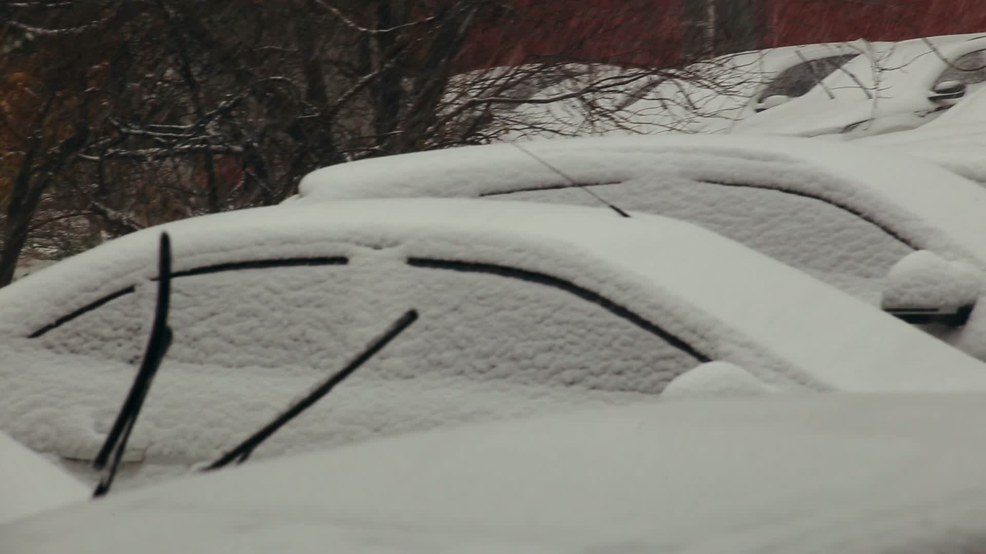 大雪覆盖视频的预览图