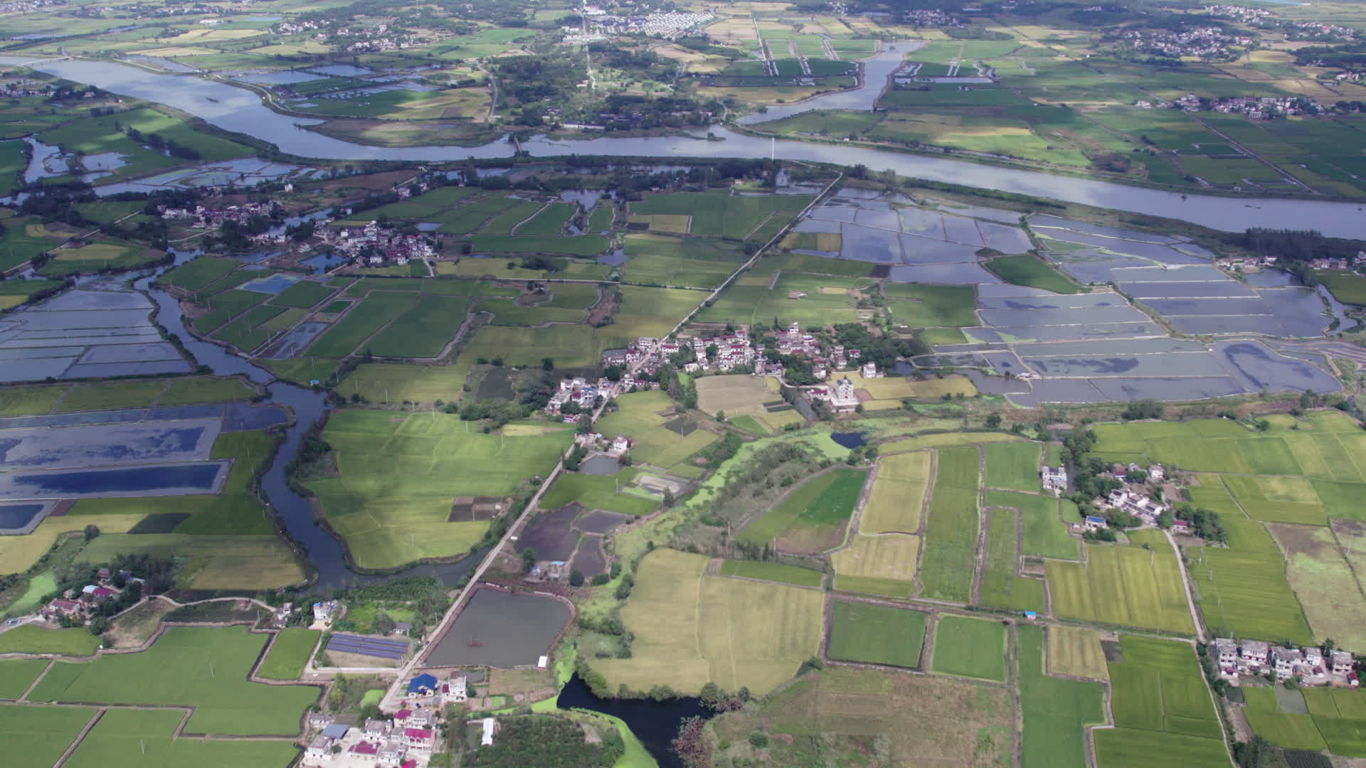 农村航拍新农村无人机俯视蓝天白云稻田野视频的预览图