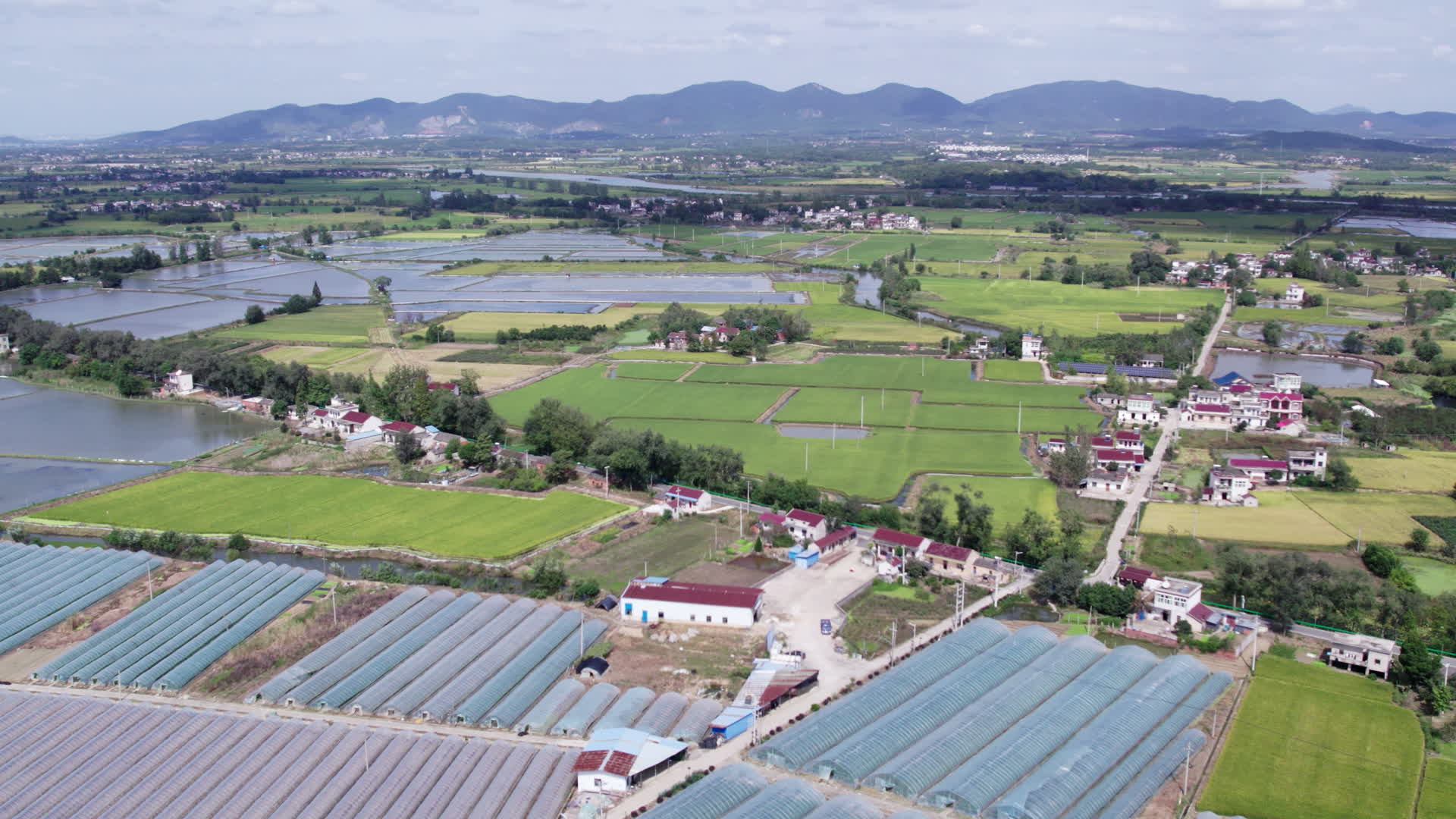农村航拍新农村无人机俯视蓝天白云稻田野视频的预览图