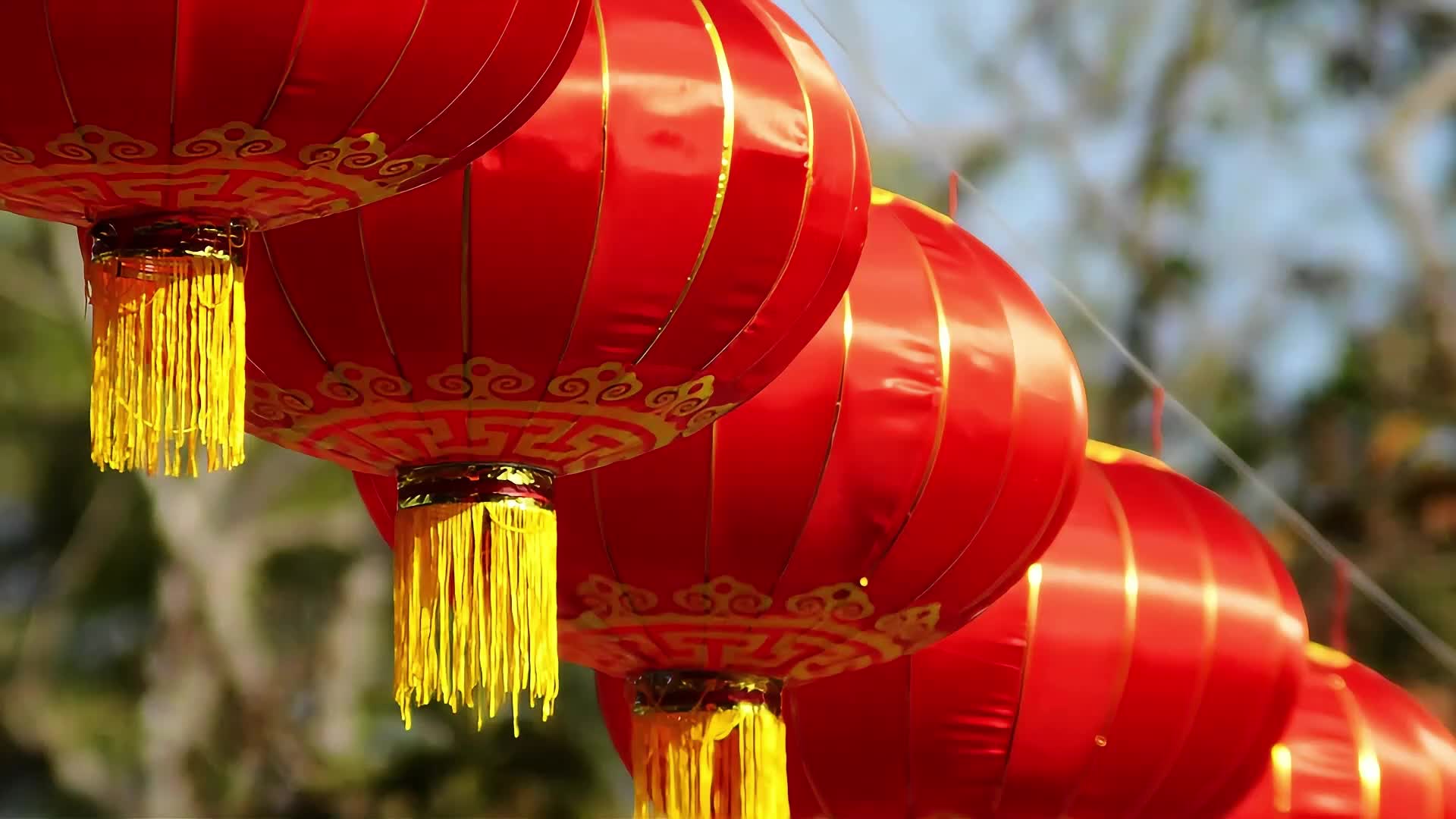 新年春节大红灯视频的预览图