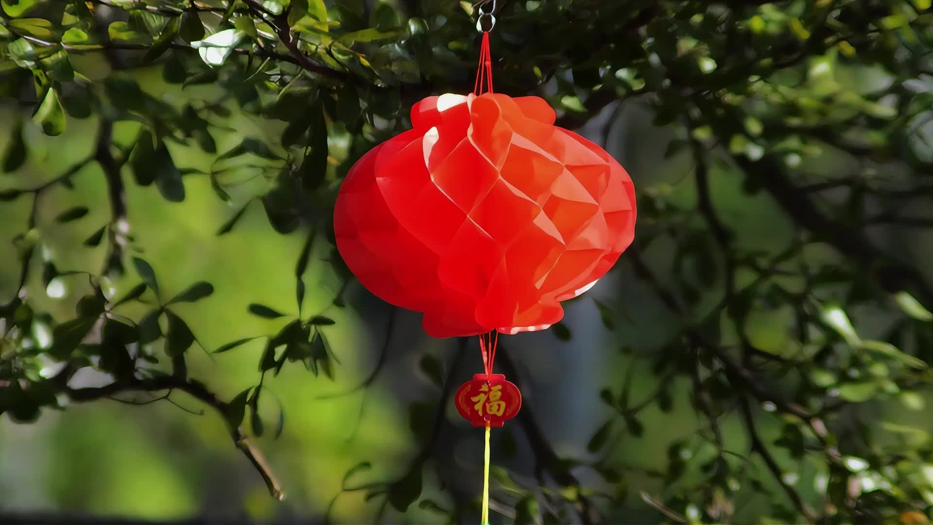 新年春节大红灯笼视频的预览图