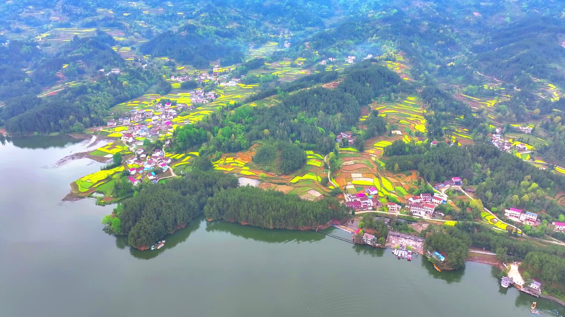 航拍陕西汉中红寺湖油菜花海游船视频的预览图