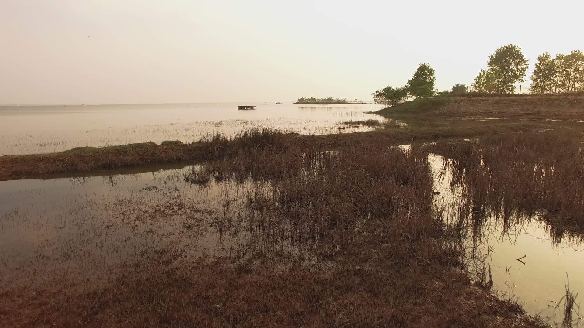 鄱阳湖实拍视频的预览图
