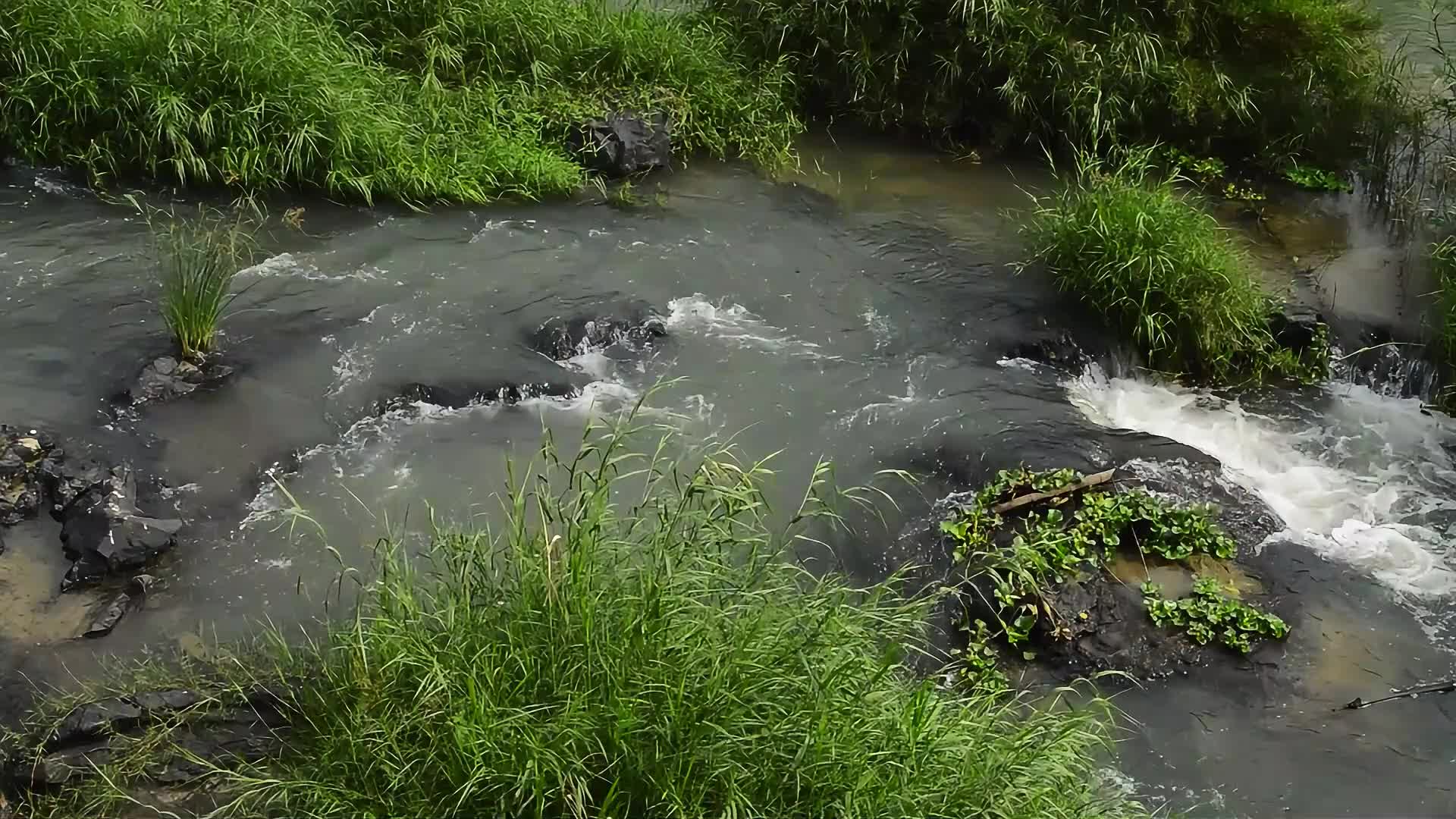 河流小河视频视频的预览图