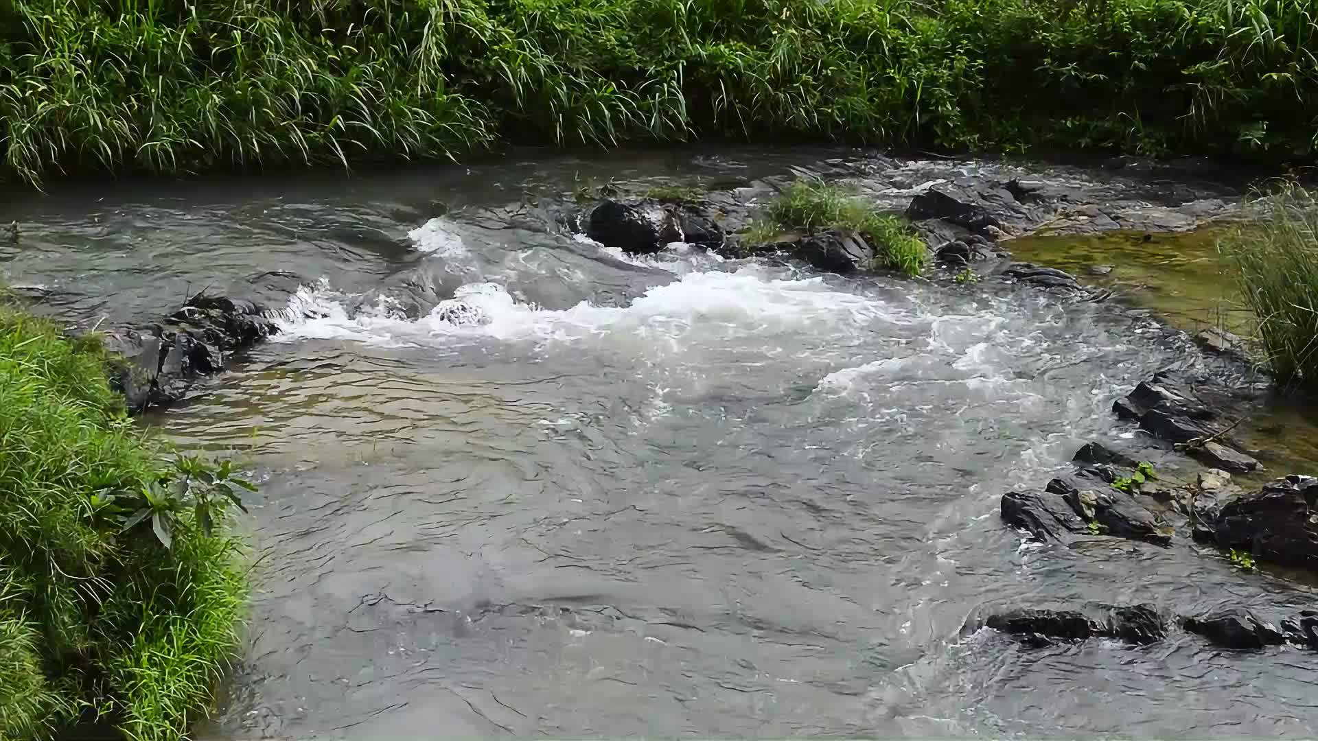 山涧溪流瀑布视频视频的预览图