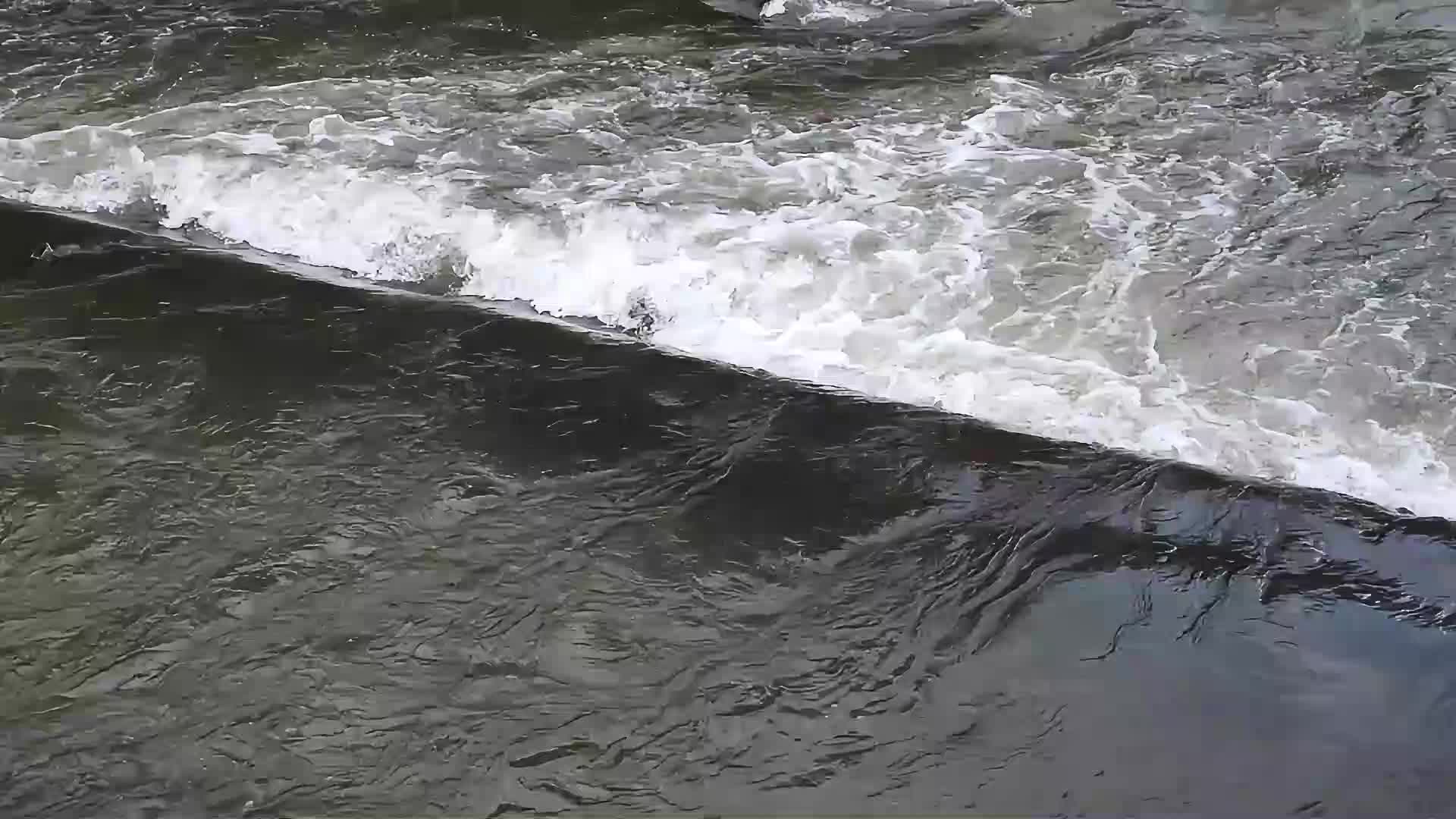 山涧溪流瀑布视频视频的预览图