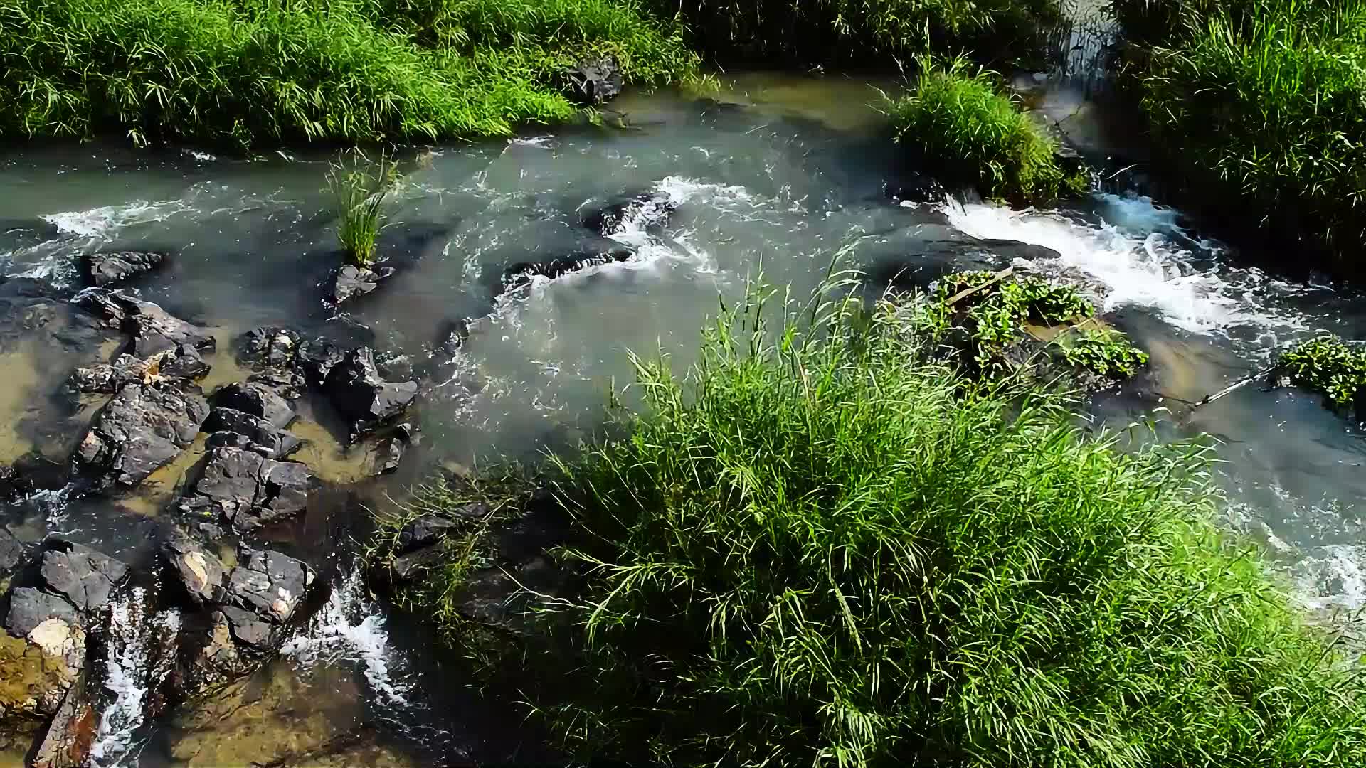 山涧流水溪流视频视频的预览图