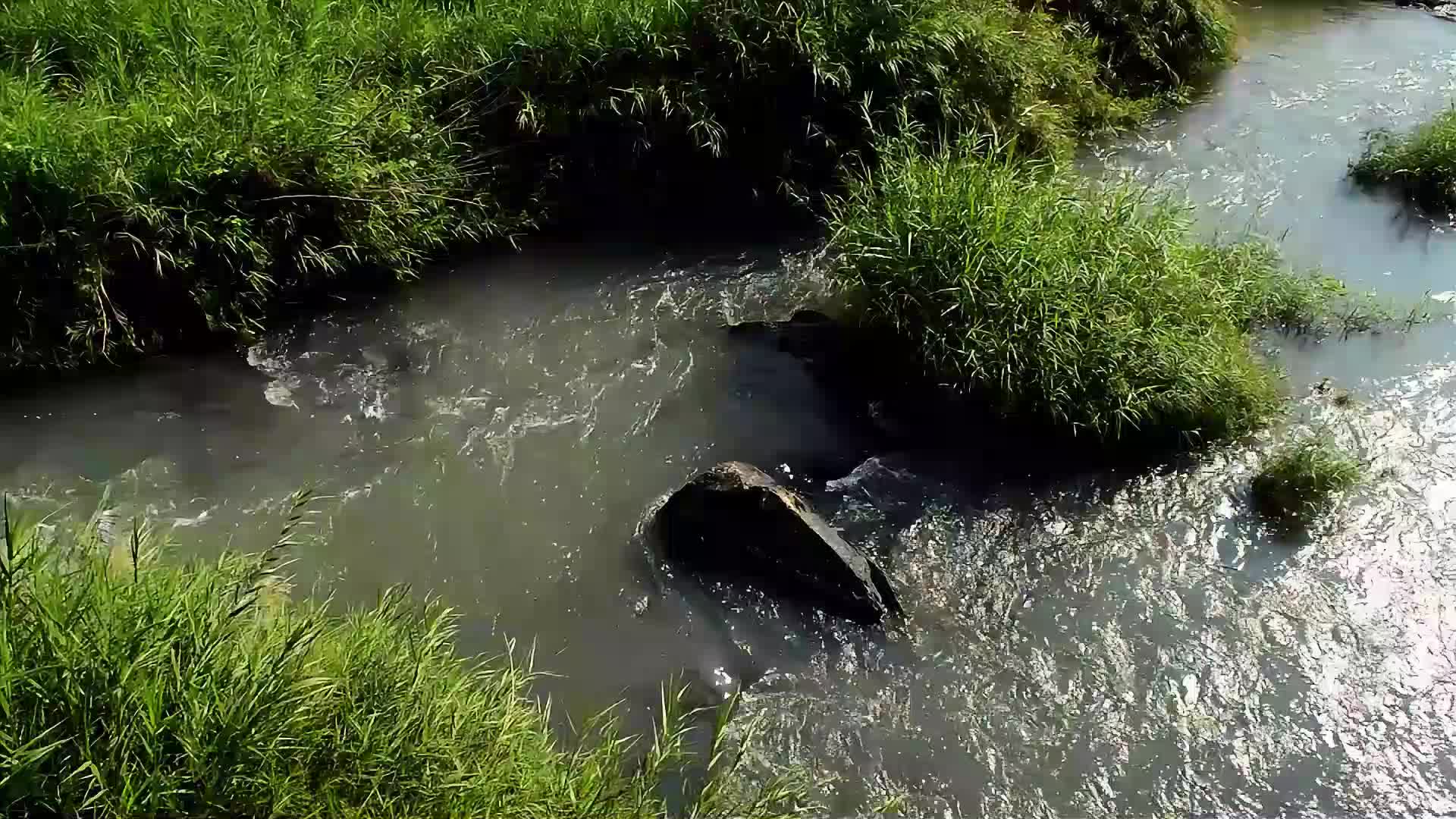 河流山涧流水视频视频的预览图