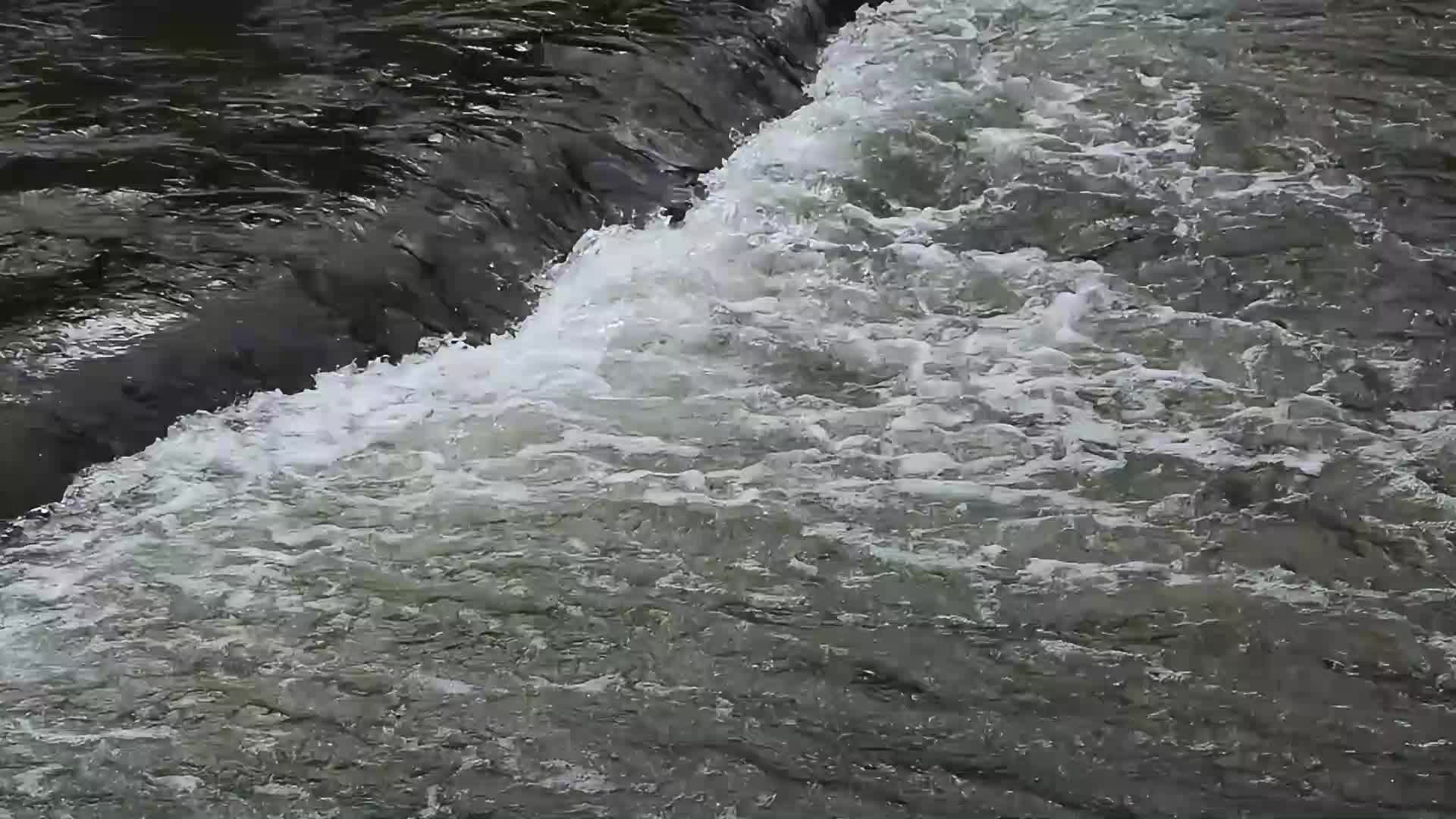 小溪山涧流水视频视频的预览图