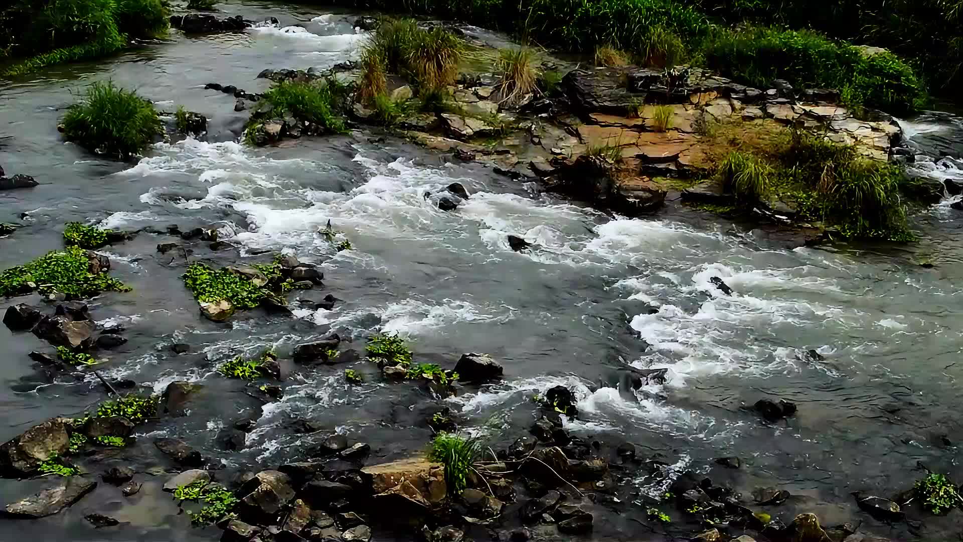 河流山涧流水视频视频的预览图