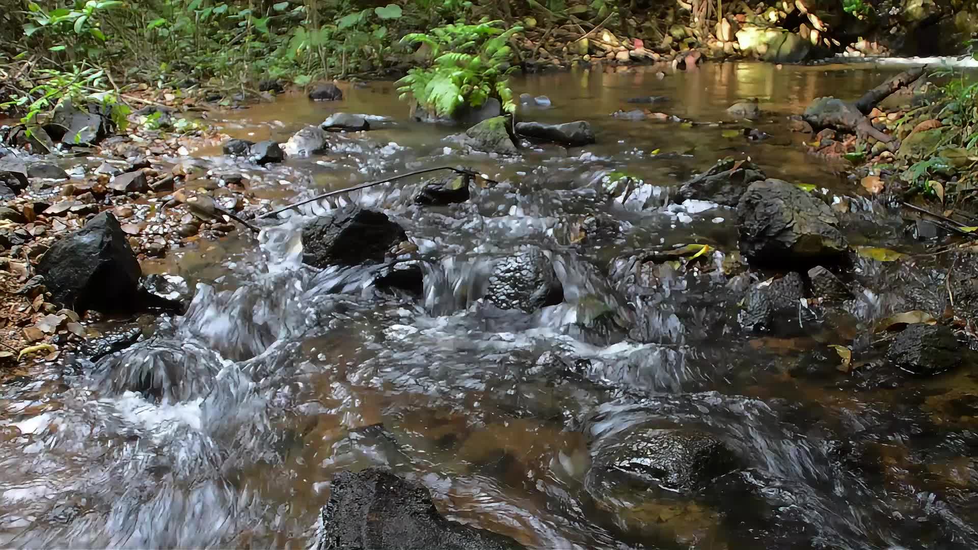 山涧小溪流水视频的预览图