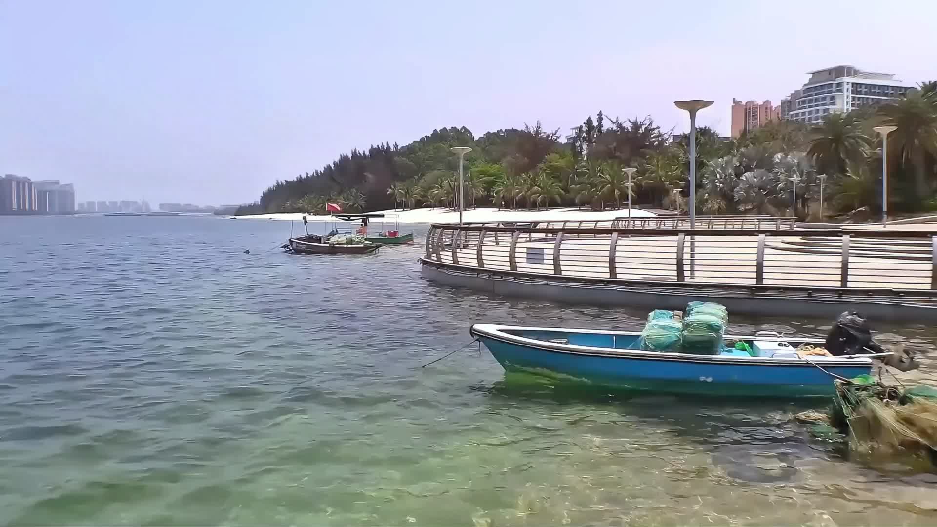 高清海南沙滩椰子树视频视频的预览图