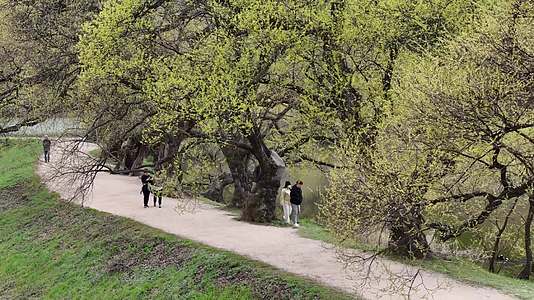 春日公园湖畔行人行走视频的预览图