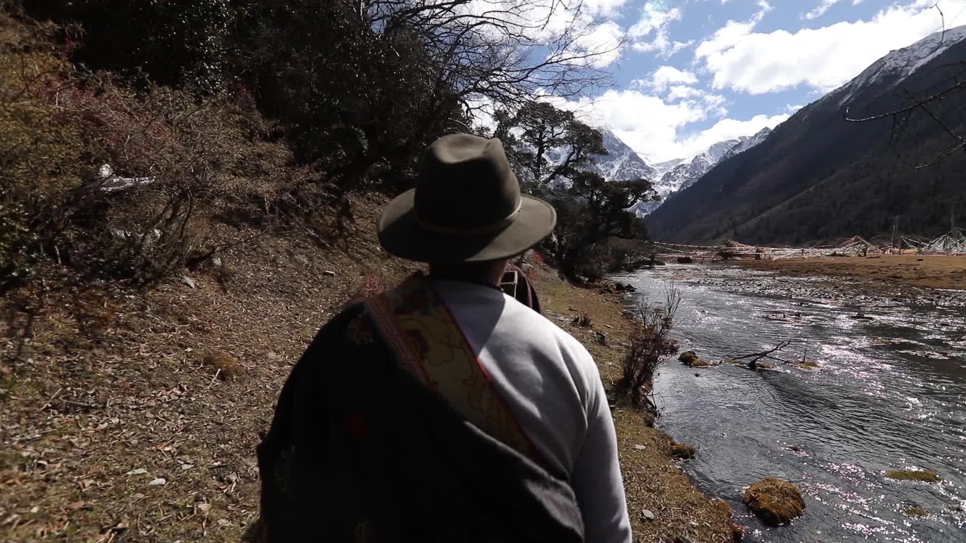 西藏劳动雪山森林视频的预览图