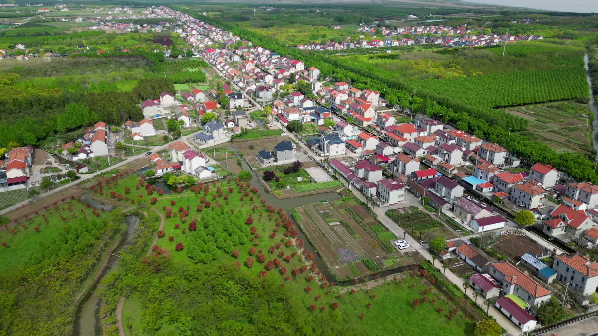 上海崇明岛新农村航拍4K60视频的预览图